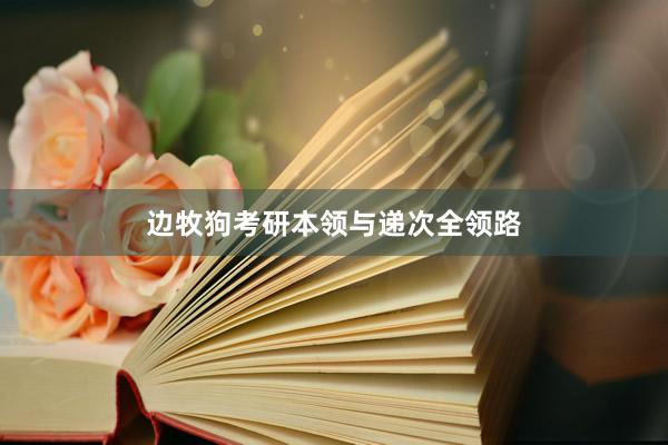 边牧狗考研本领与递次全领路