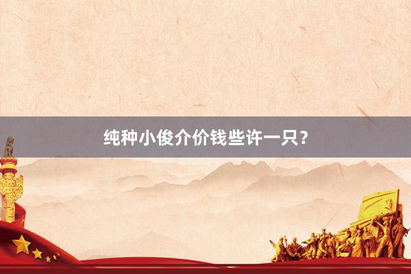 纯种小俊介价钱些许一只？